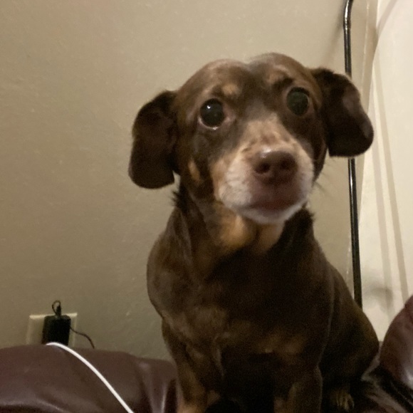 Meet your Posher, Jessica - Picture 1 of 1